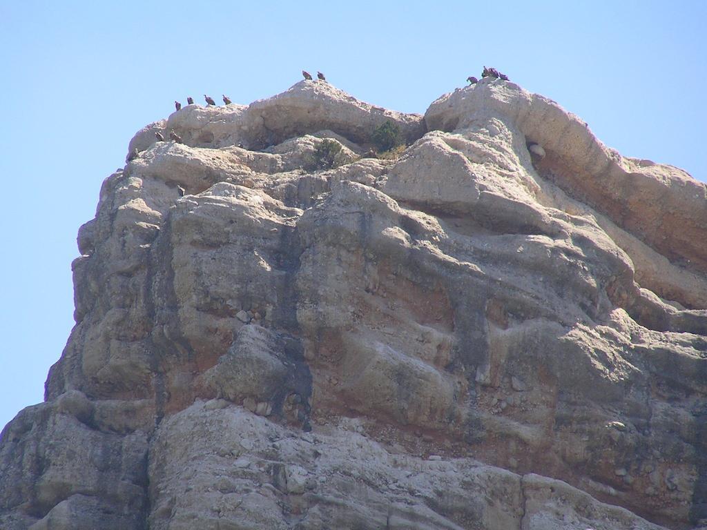 منزل الضيف Peñarroya de Tastavins  في Mas De Nofre المظهر الخارجي الصورة